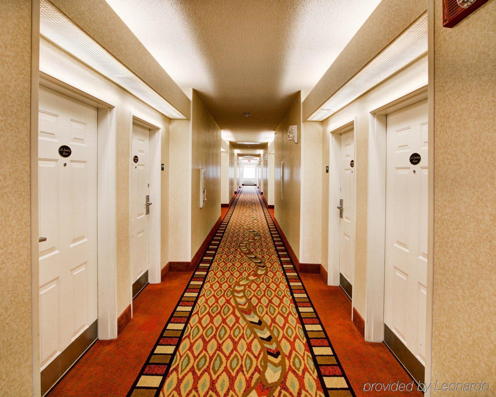 Comfort Suites Λούισβιλ Εξωτερικό φωτογραφία